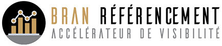 Consultant SEO Rennes | Services et prestations SEO / Webmarketing | Bran référencement